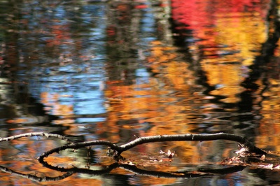 Reflection of the Autumn foliage in New England