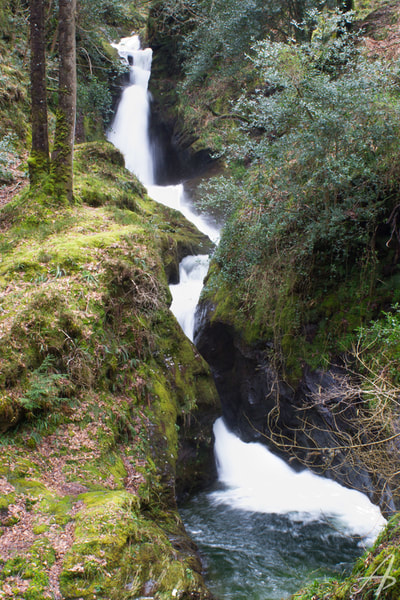 Poulanass Waterfall in Glendalough, Wicklow Mountains, Ireland
