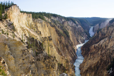 Overlooking the Grand Canyon of the Yellowstone, Yellowstone National Park