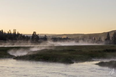 Morning fog rises off of a stream in Yellowstone National Park.