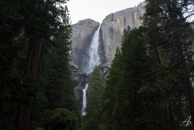 Upper and Lower Yosemite Falls from Yosemite Valley, Yosemite National Park