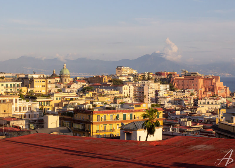 A view of the rooftops of Naples