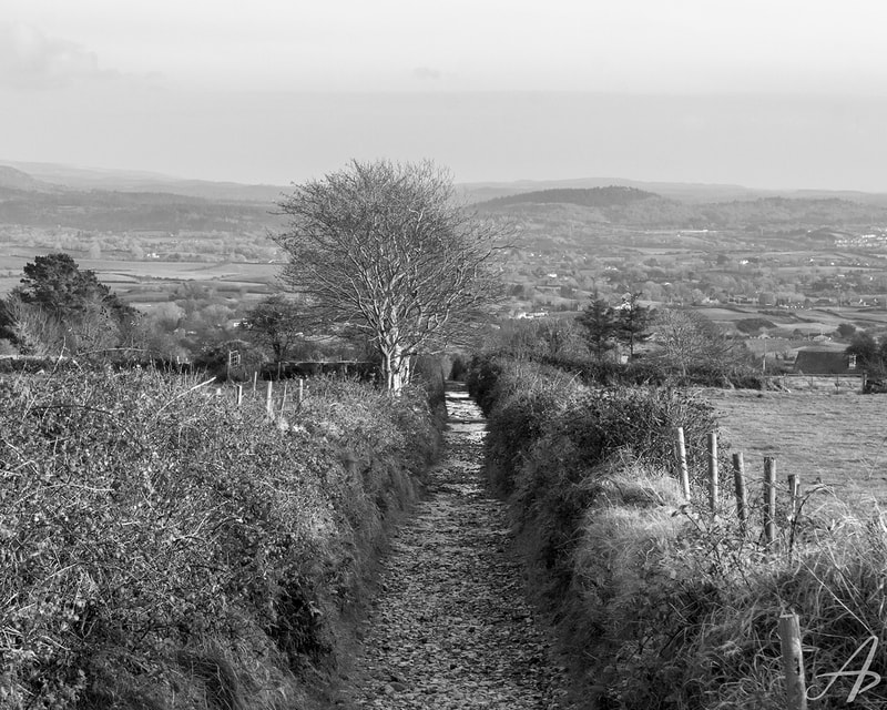 Knocknarea Hill, County Sligo, Ireland