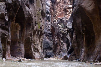 Walking through The Narrows in Zion National Park